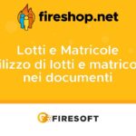 Compilare i documenti utilizzando gli articoli con lotti e matricole